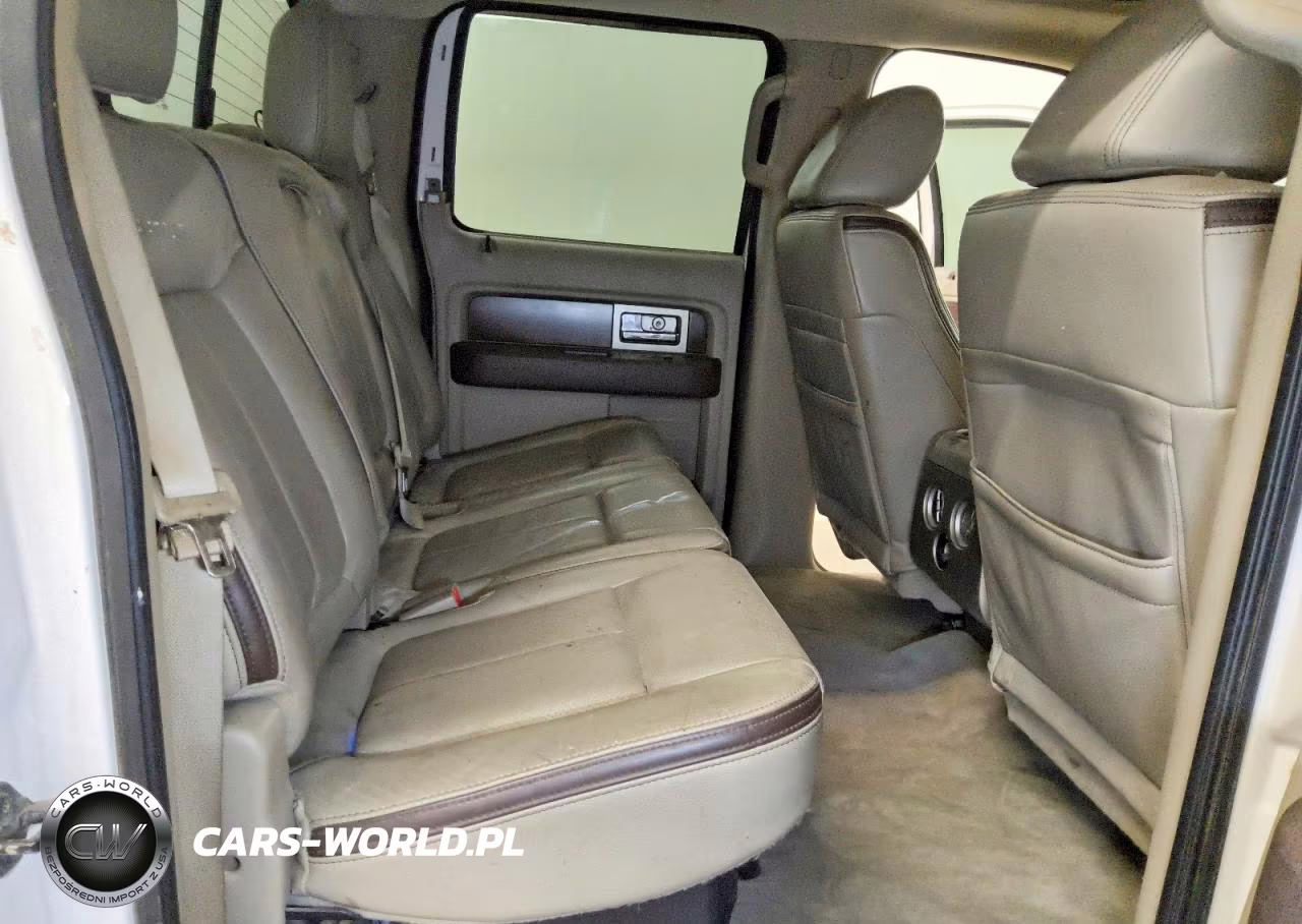 2010 Ford F150 Supercrew VIN:1FTFW1EV3AFB44496 - 10
