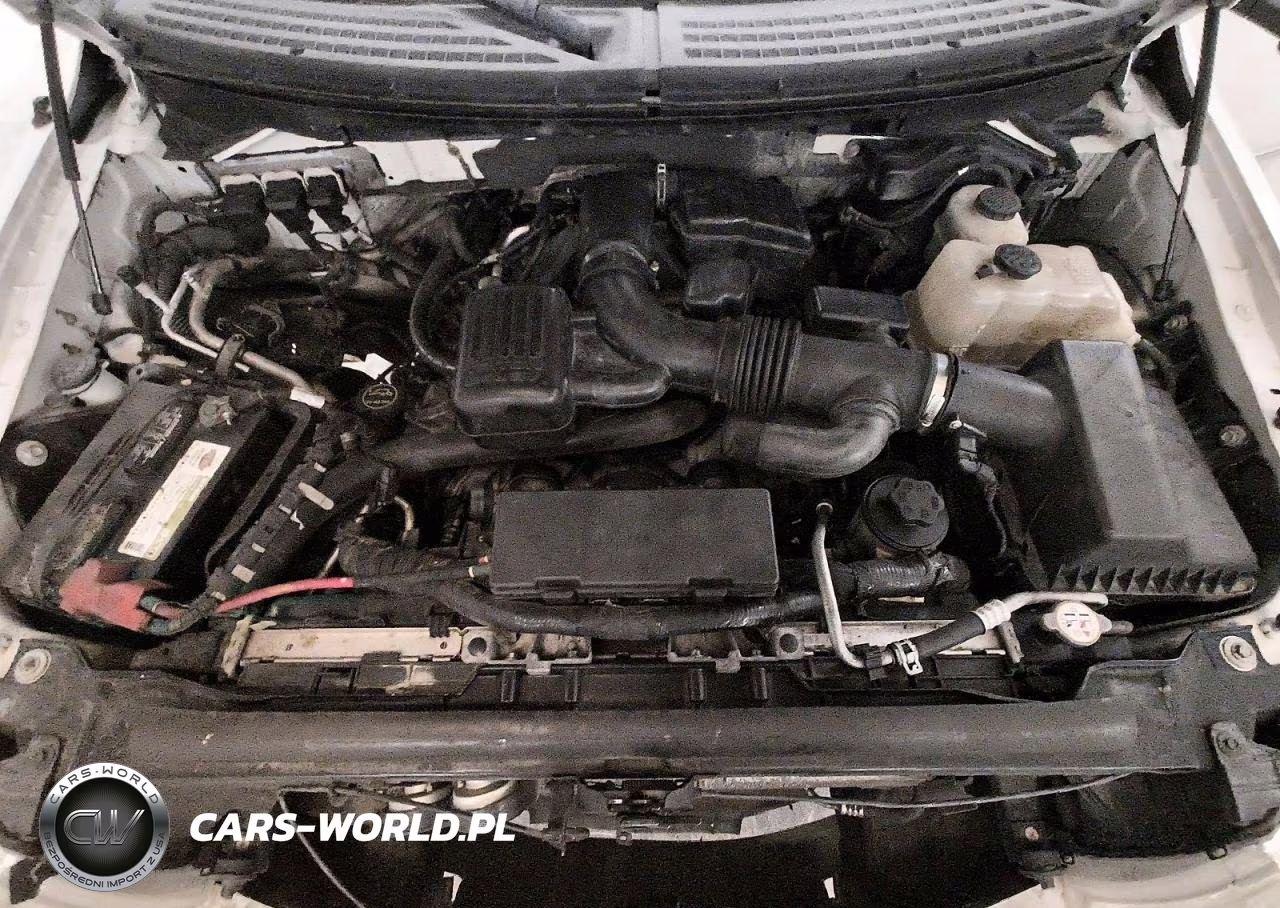 2010 Ford F150 Supercrew VIN:1FTFW1EV3AFB44496 - 11