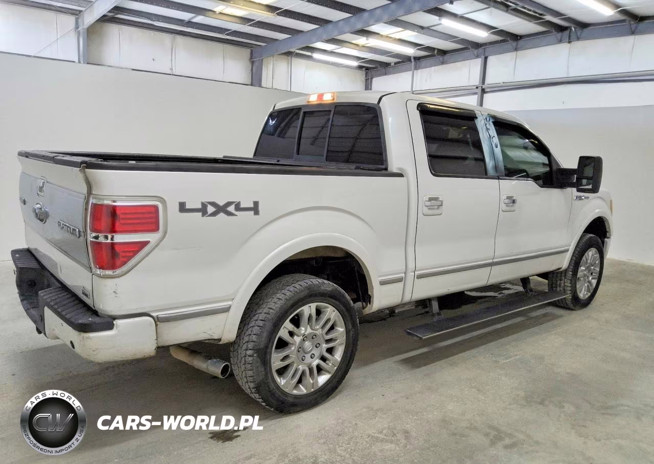 2010 Ford F150 Supercrew VIN:1FTFW1EV3AFB44496 - 3