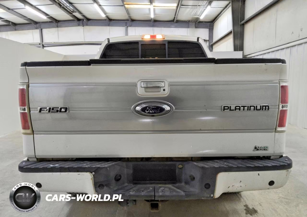2010 Ford F150 Supercrew VIN:1FTFW1EV3AFB44496 - 6