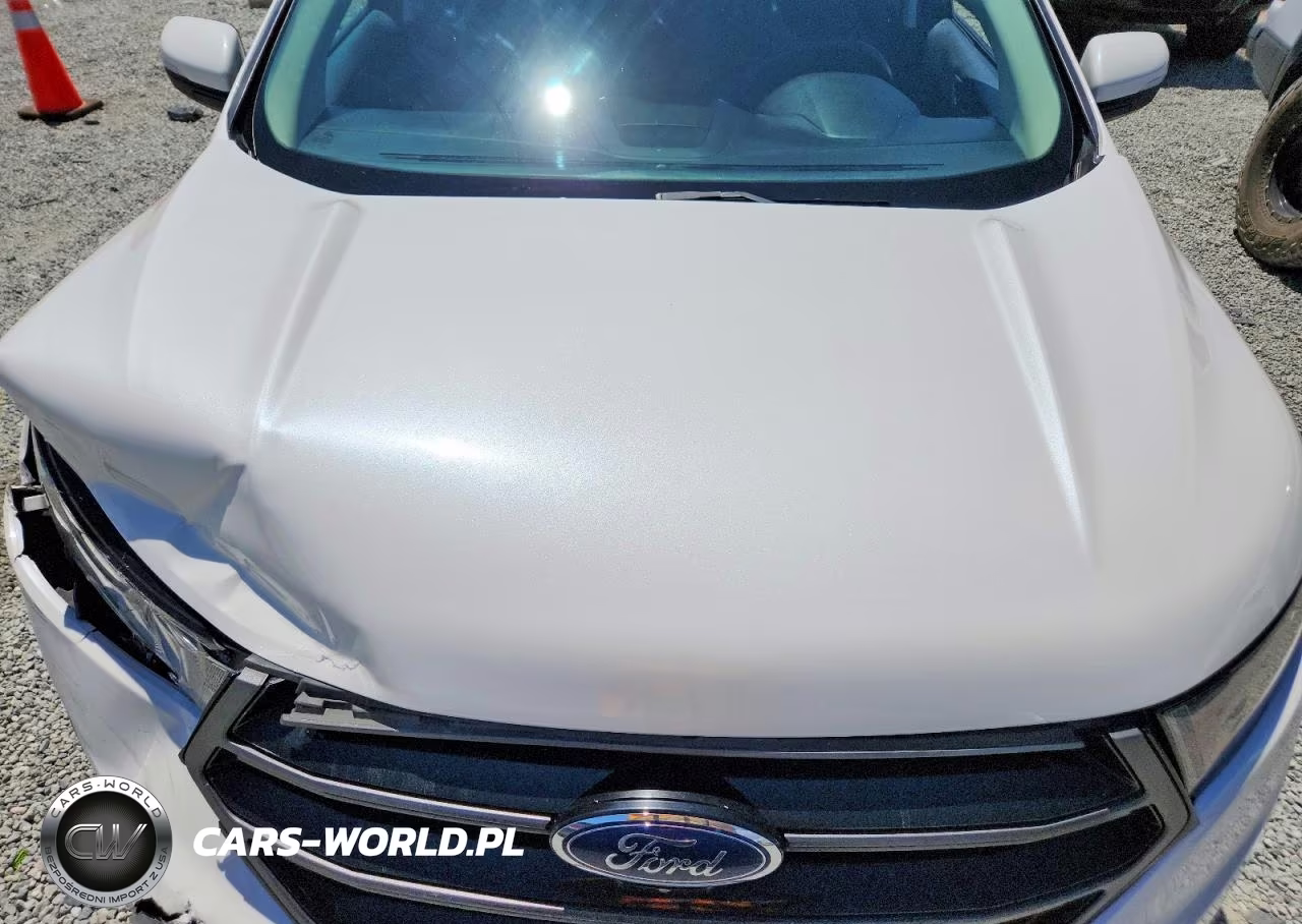 2015 Ford Edge Sport VIN:2FMPK3AP5FBB74235 - 12
