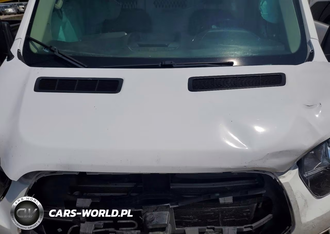 2018 Ford Transit T-250 VIN:1FTYR2CM8JKB50219 - 12