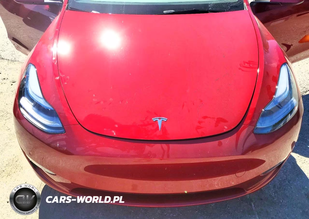 2025 Tesla Model Y VIN:7SAYGDEF0SF259534 - 11