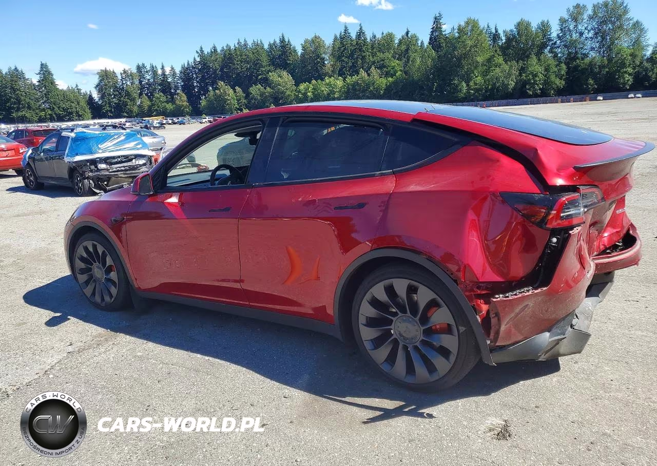 2025 Tesla Model Y VIN:7SAYGDEF0SF259534 - 2