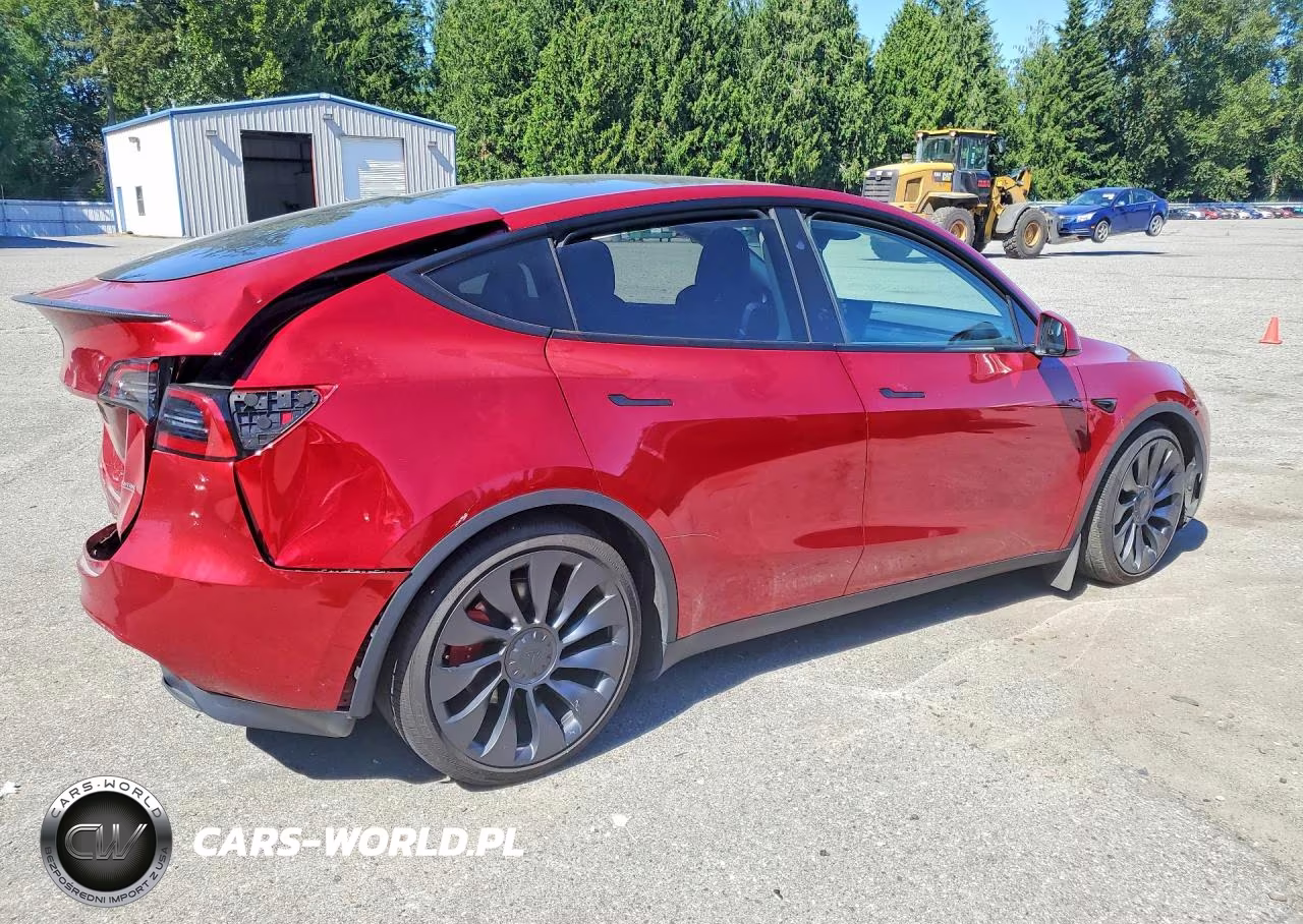 2025 Tesla Model Y VIN:7SAYGDEF0SF259534 - 3