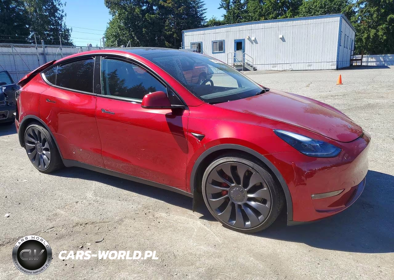 2025 Tesla Model Y VIN:7SAYGDEF0SF259534 - 4