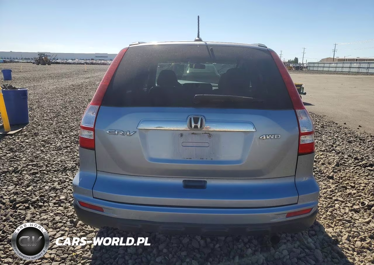 2010 Honda Cr-V Exl VIN:5J6RE4H74AL015290 - 6