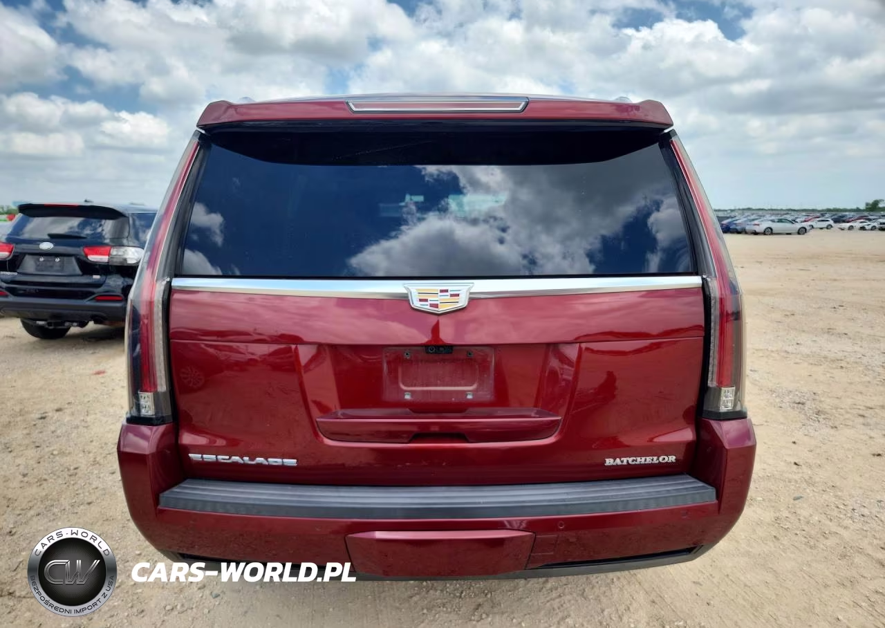 2019 Cadillac Escalade Premium Luxury VIN:1GYS4CKJ2KR203632 - 6