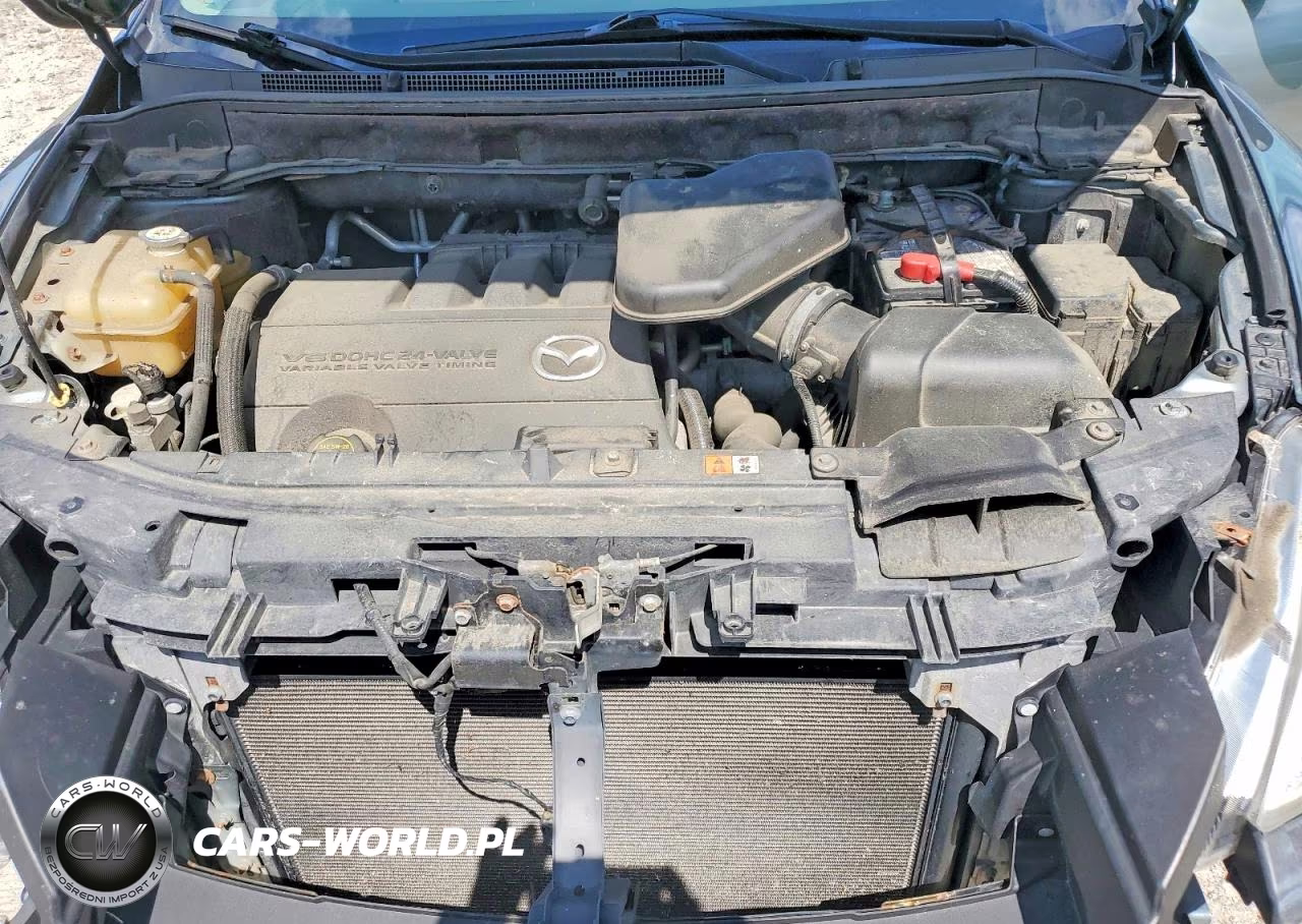 2012 Mazda Cx-9 VIN:JM3TB3DV9C0349121 - 12