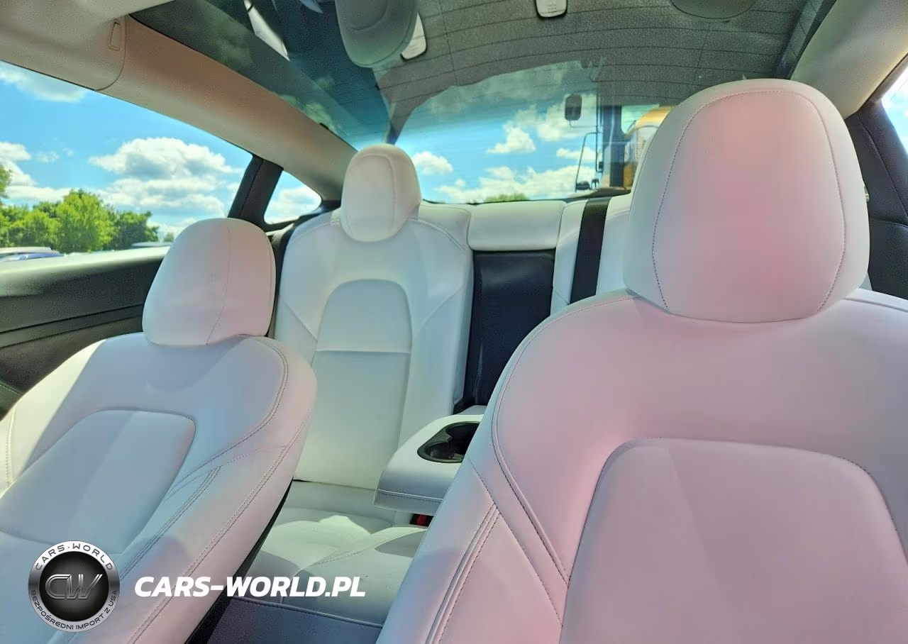 2021 Tesla Model 3 VIN:5YJ3E1EB5MF981335 - 10