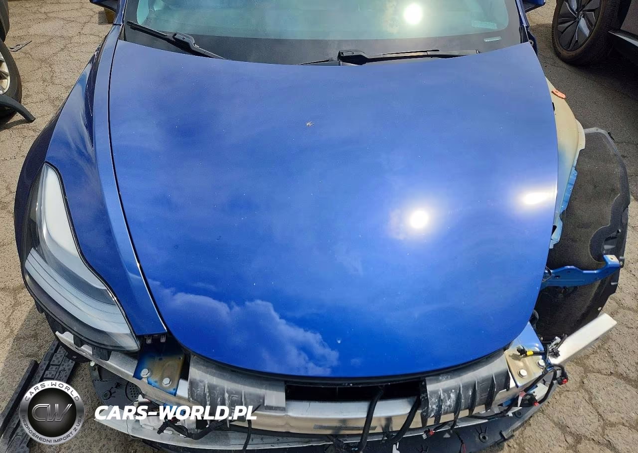 2021 Tesla Model 3 VIN:5YJ3E1EB5MF981335 - 12
