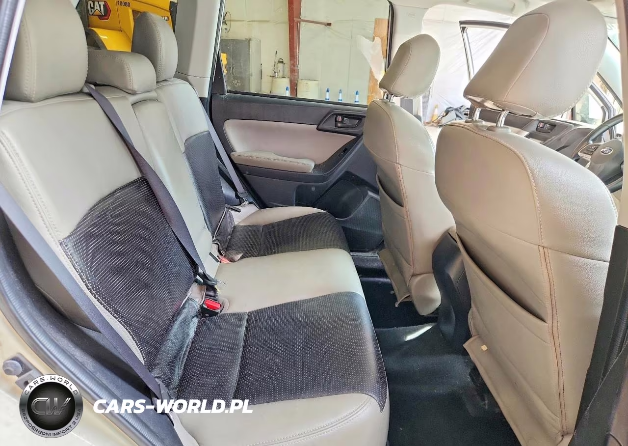 2016 Subaru Forester 2.5I Premium VIN:JF2SJADC3GH496232 - 11