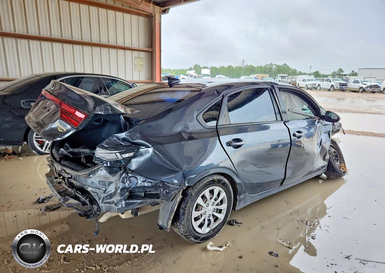 2019 Kia Forte Fe VIN:3KPF24AD7KE137749 - 3