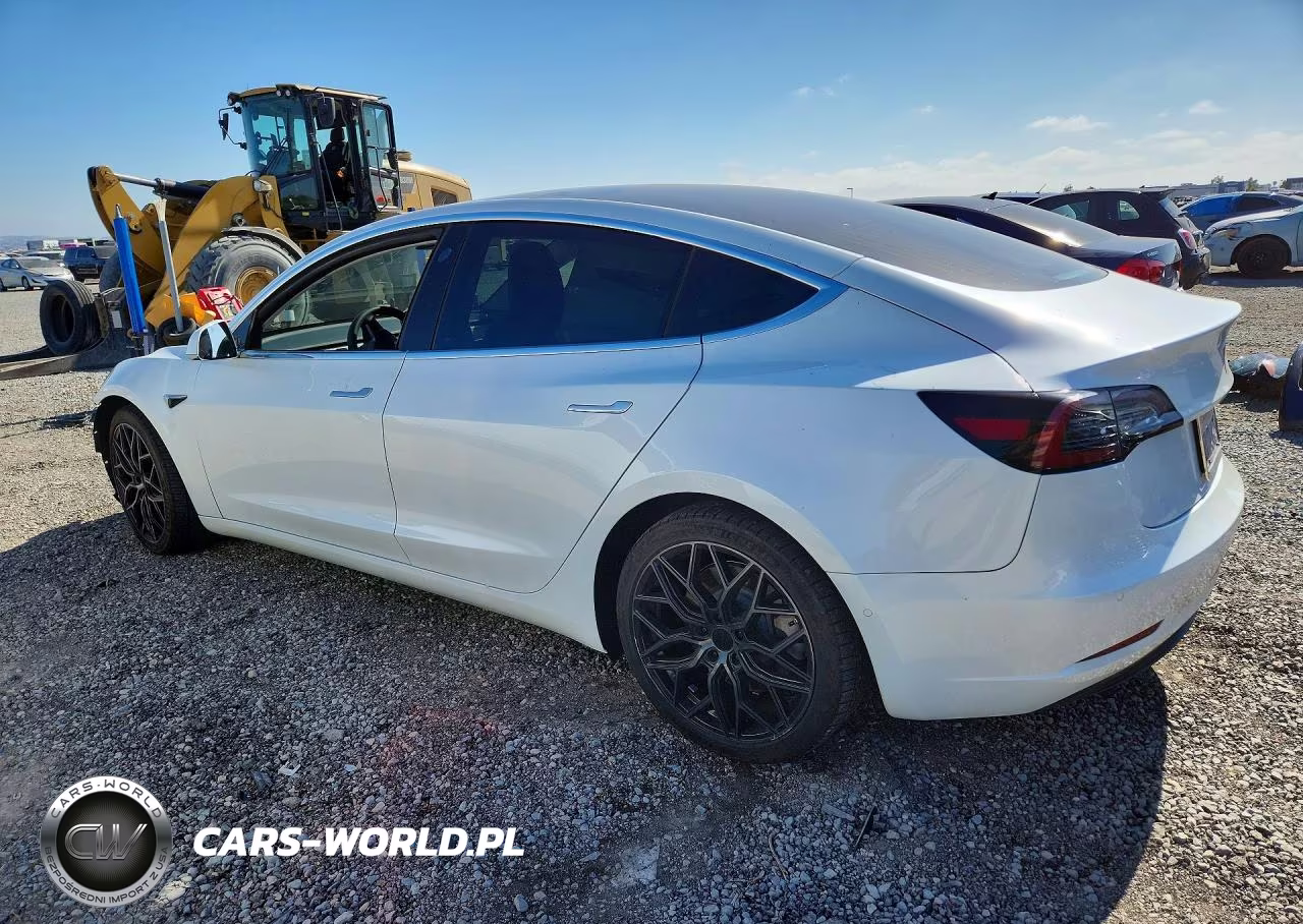2020 Tesla Model 3 VIN:5YJ3E1EB7LF667331 - 2