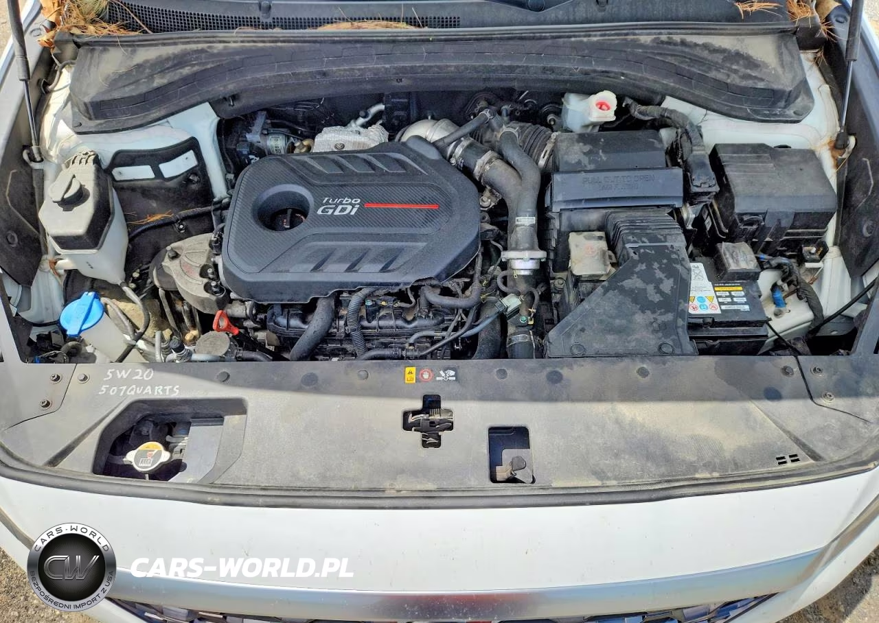 2019 Hyundai Santa Fe Limited 2.0T VIN:5NMS5CAA8KH022964 - 12