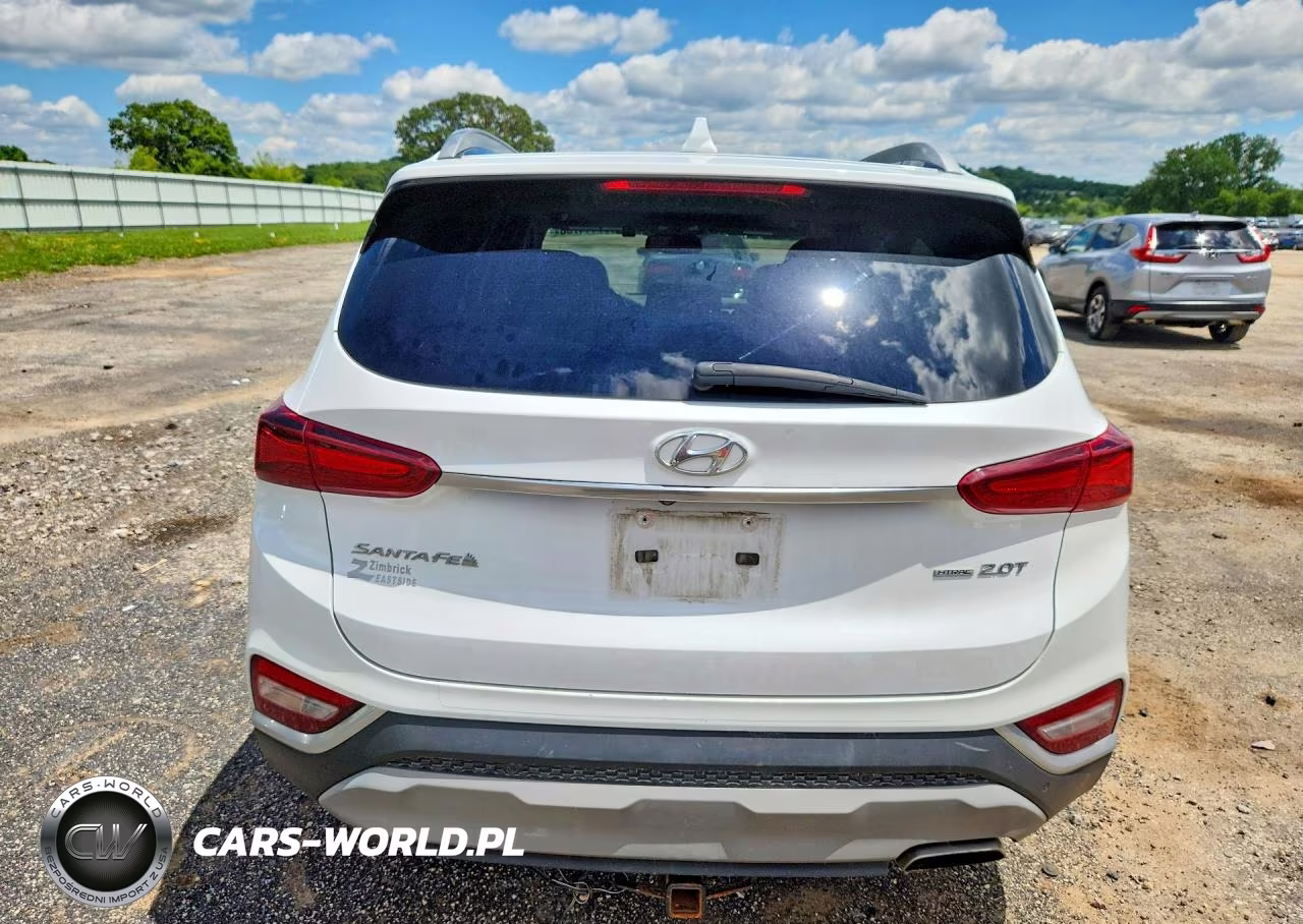2019 Hyundai Santa Fe Limited 2.0T VIN:5NMS5CAA8KH022964 - 6