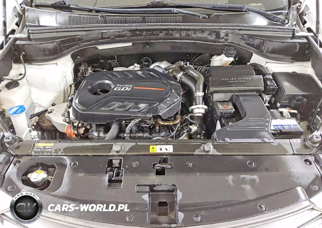 2017 Hyundai Santa Fe Sport 2.0T Ultimate VIN:5XYZWDLAXHG483066 - 12