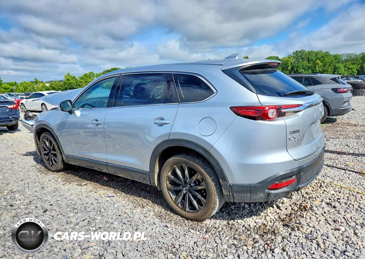 2023 Mazda Cx-9 Touring Plus VIN:JM3TCBAY6P0656676 - 2