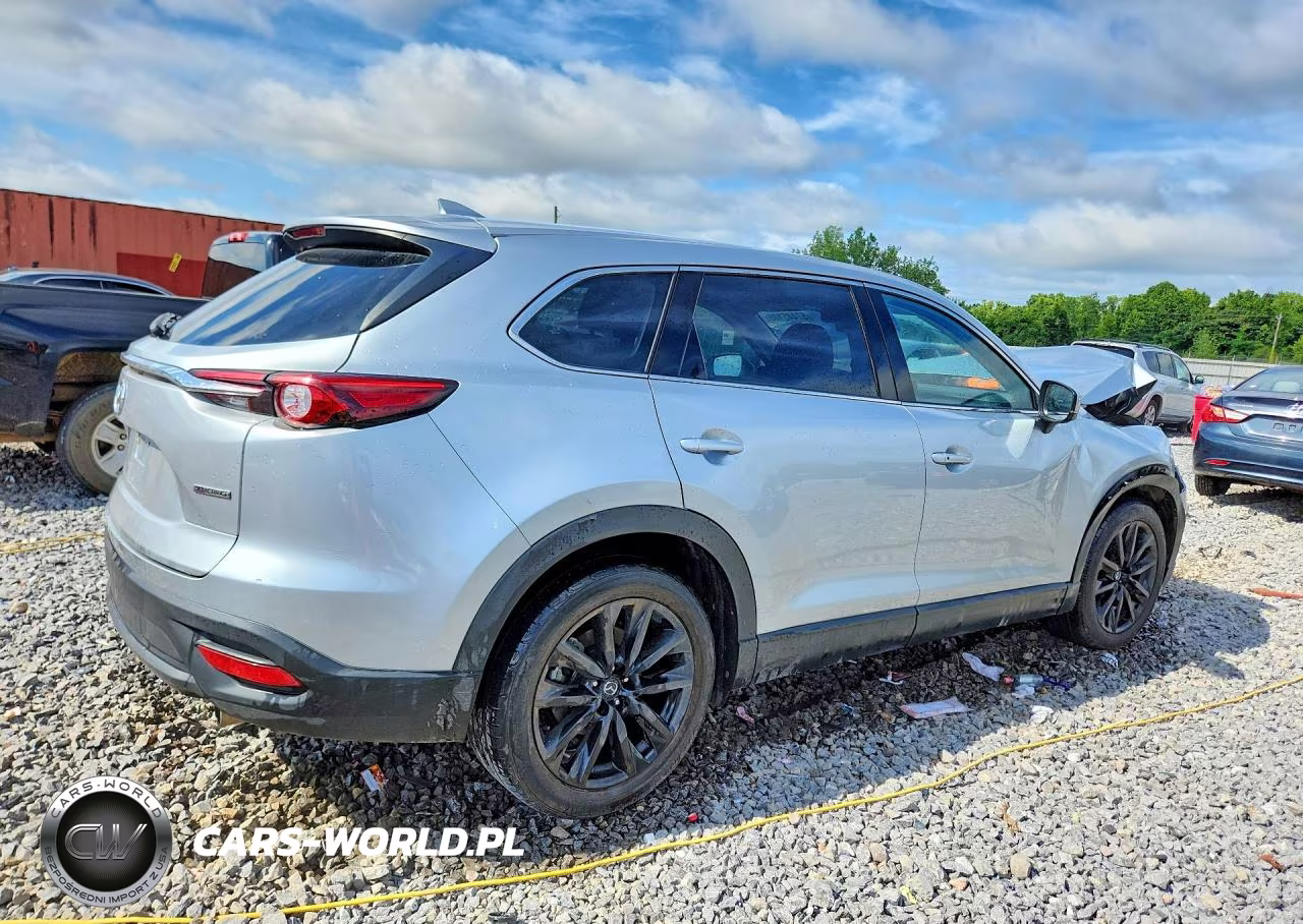 2023 Mazda Cx-9 Touring Plus VIN:JM3TCBAY6P0656676 - 3