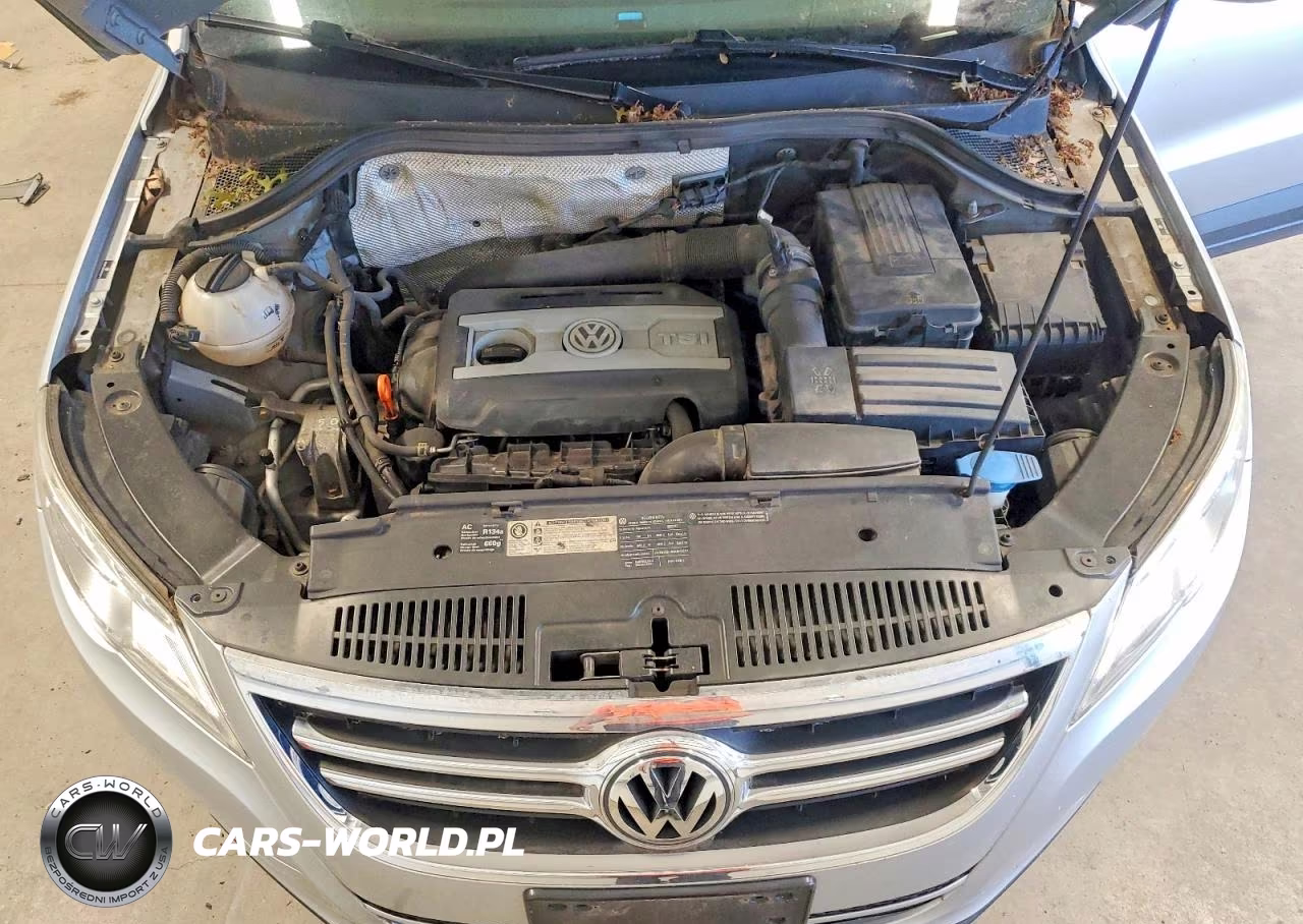 2009 Volkswagen Tiguan Se VIN:WVGBV75N39W534736 - 12