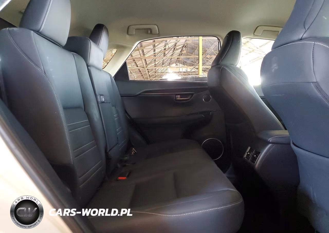 2020 Lexus Nx 300 Base VIN:JTJAARBZ2L2174644 - 10