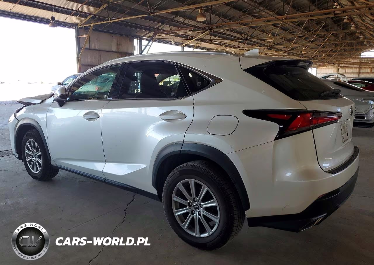 2020 Lexus Nx 300 Base VIN:JTJAARBZ2L2174644 - 2