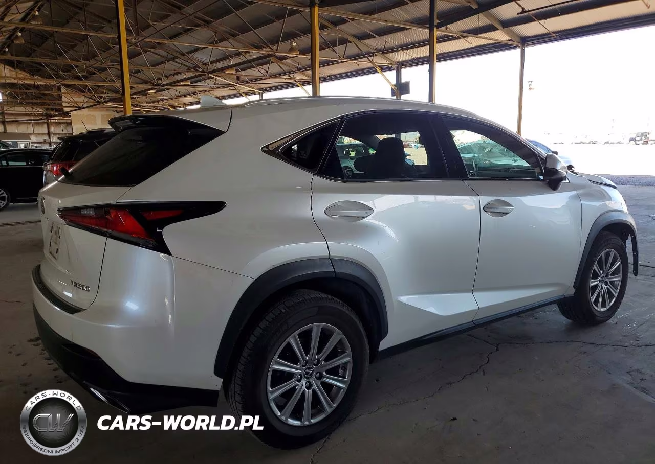 2020 Lexus Nx 300 Base VIN:JTJAARBZ2L2174644 - 3