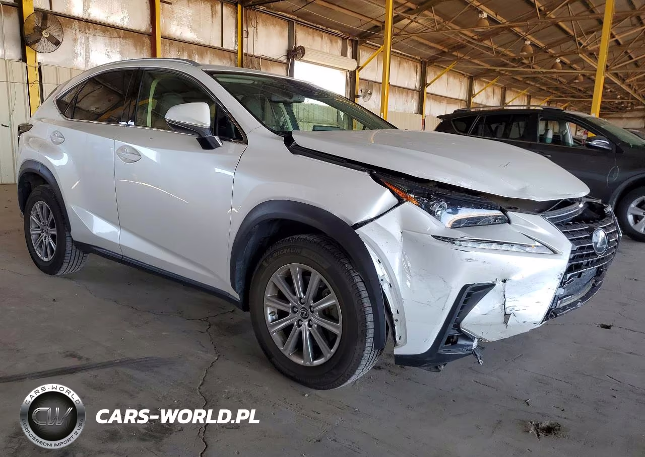 2020 Lexus Nx 300 Base VIN:JTJAARBZ2L2174644 - 4