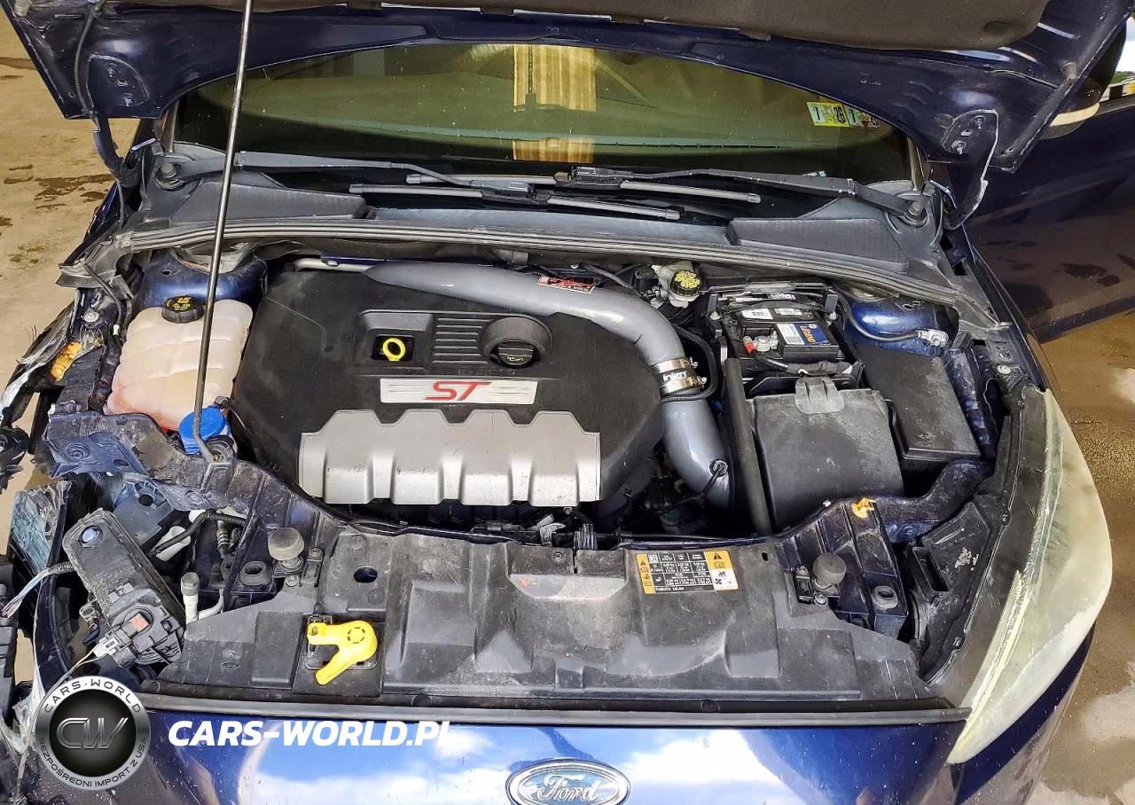 2016 Ford Focus St VIN:1FADP3L92GL279961 - 11