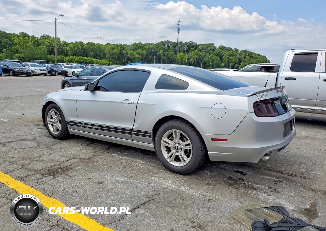 2013 Ford Mustang VIN:1ZVBP8AM3D5220873 - 2