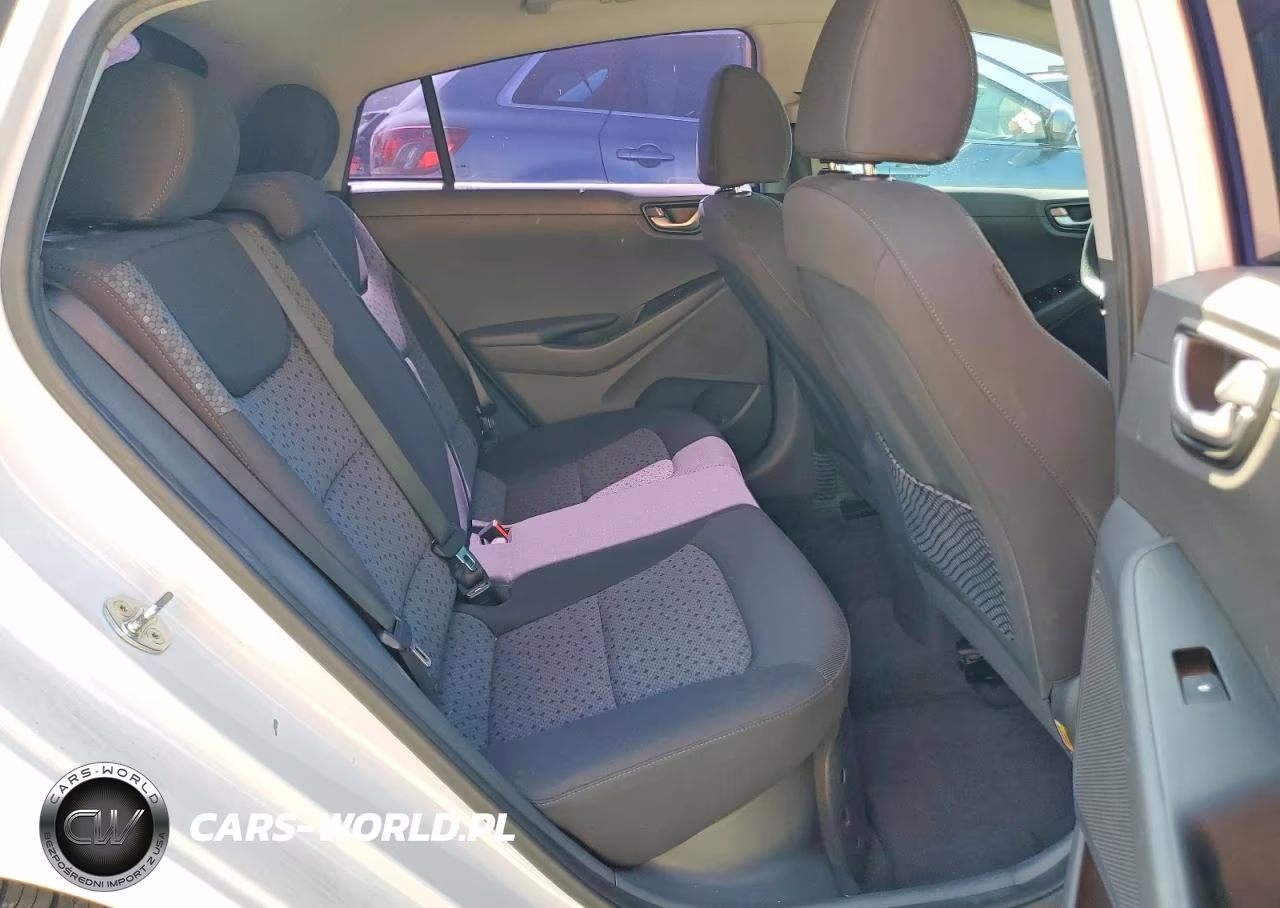 2019 Hyundai Ioniq Blue VIN:KMHC65LC9KU151733 - 10