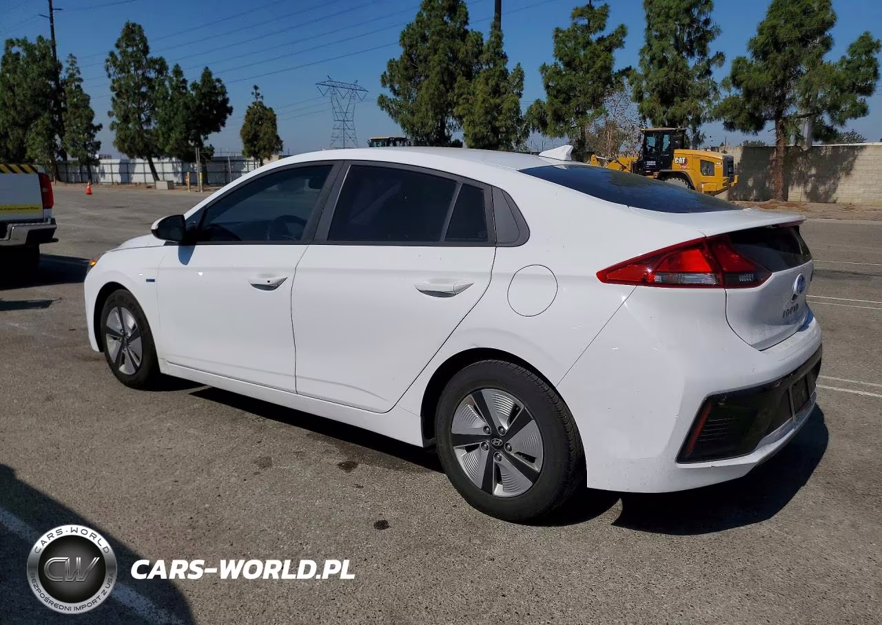 2019 Hyundai Ioniq Blue VIN:KMHC65LC9KU151733 - 2