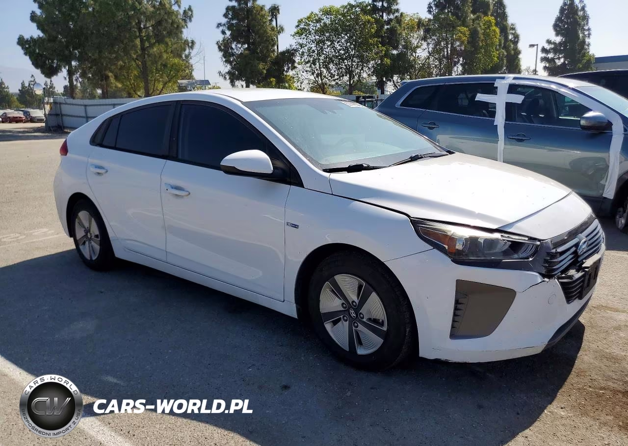 2019 Hyundai Ioniq Blue VIN:KMHC65LC9KU151733 - 4