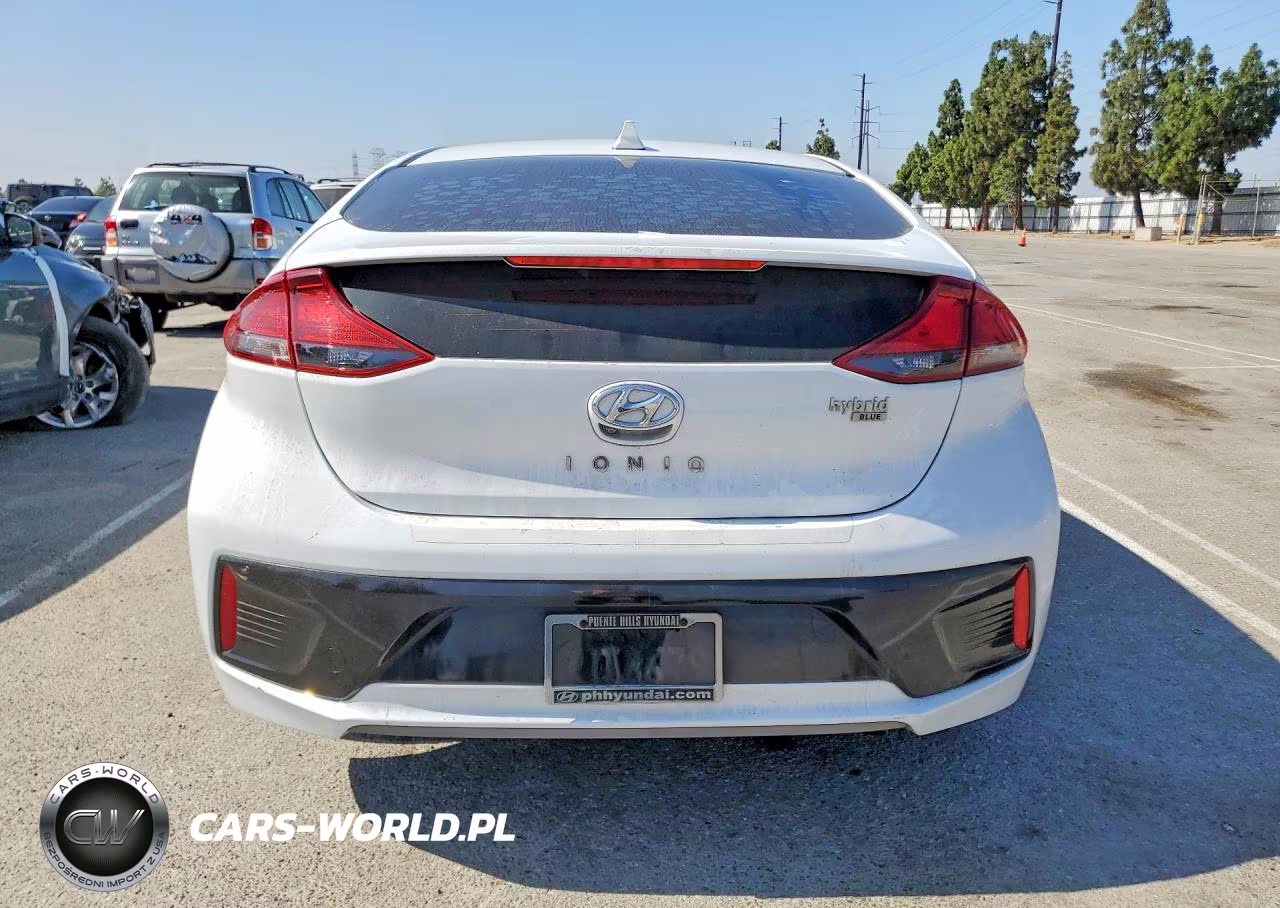 2019 Hyundai Ioniq Blue VIN:KMHC65LC9KU151733 - 6