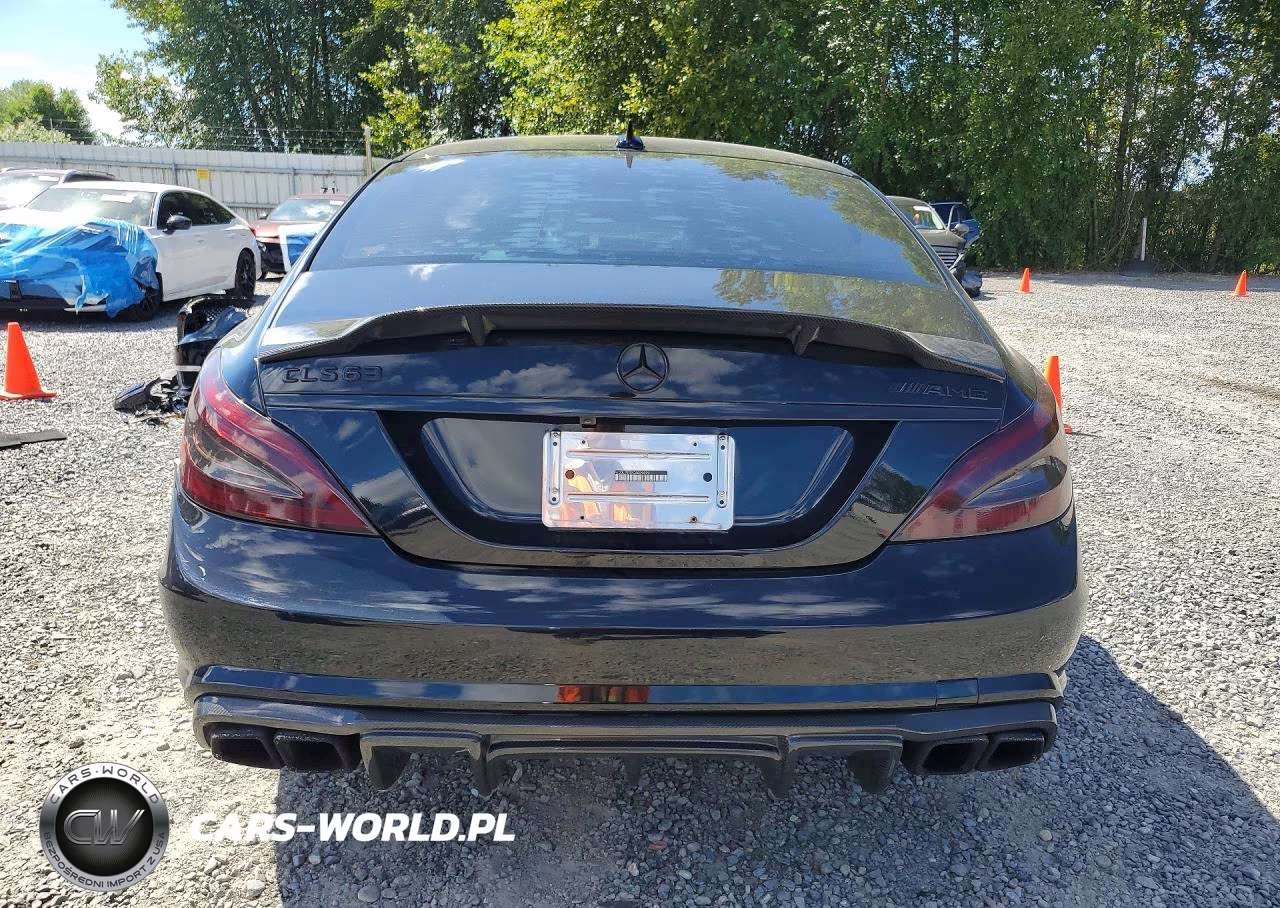 2012 Mercedes-Benz Cls 63 Amg VIN:WDDLJ7EB9CA029899 - 6