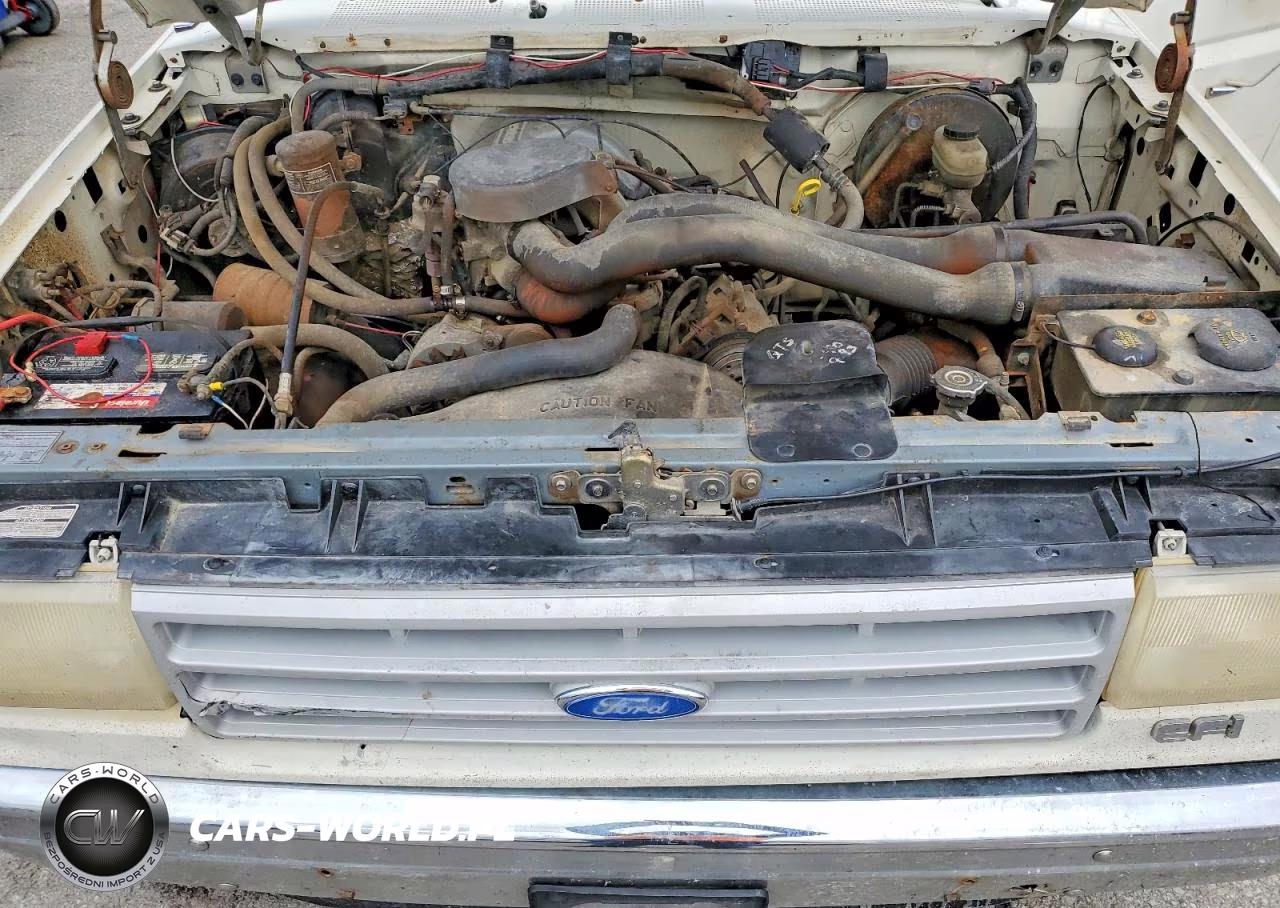 1991 Ford F150 VIN:1FTDF15N1MKA77383 - 11