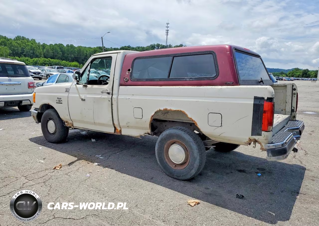 1991 Ford F150 VIN:1FTDF15N1MKA77383 - 2