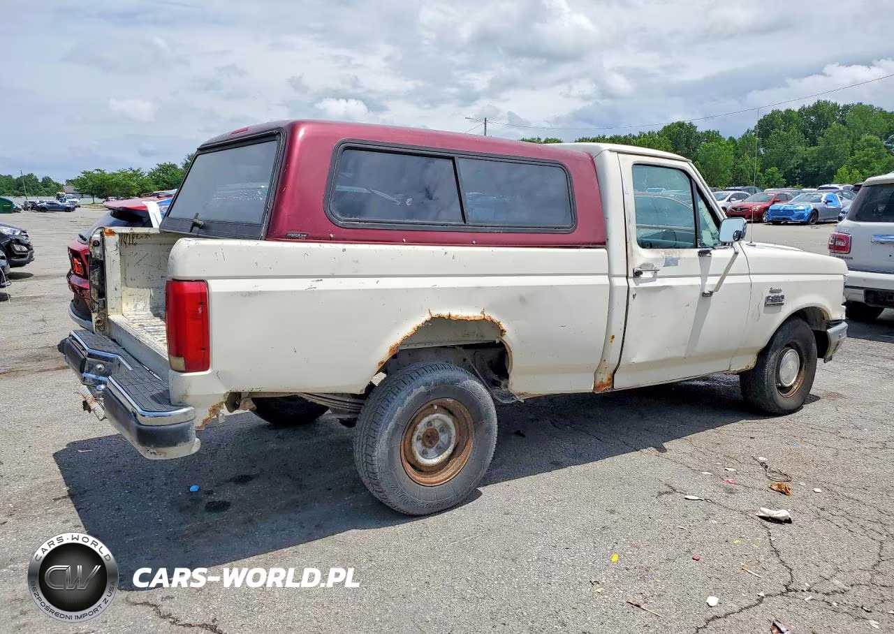 1991 Ford F150 VIN:1FTDF15N1MKA77383 - 3
