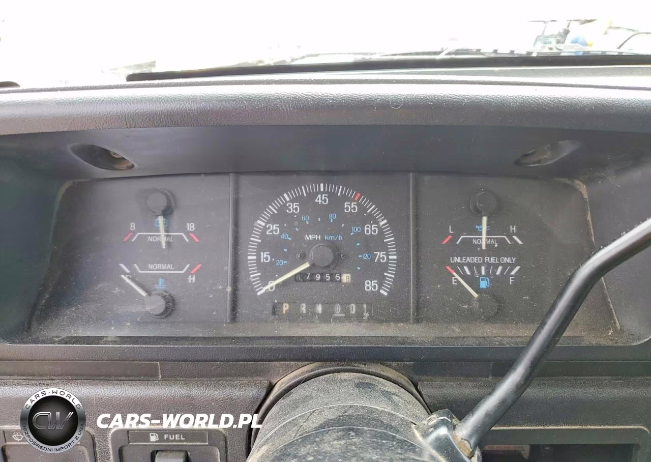 1991 Ford F150 VIN:1FTDF15N1MKA77383 - 9