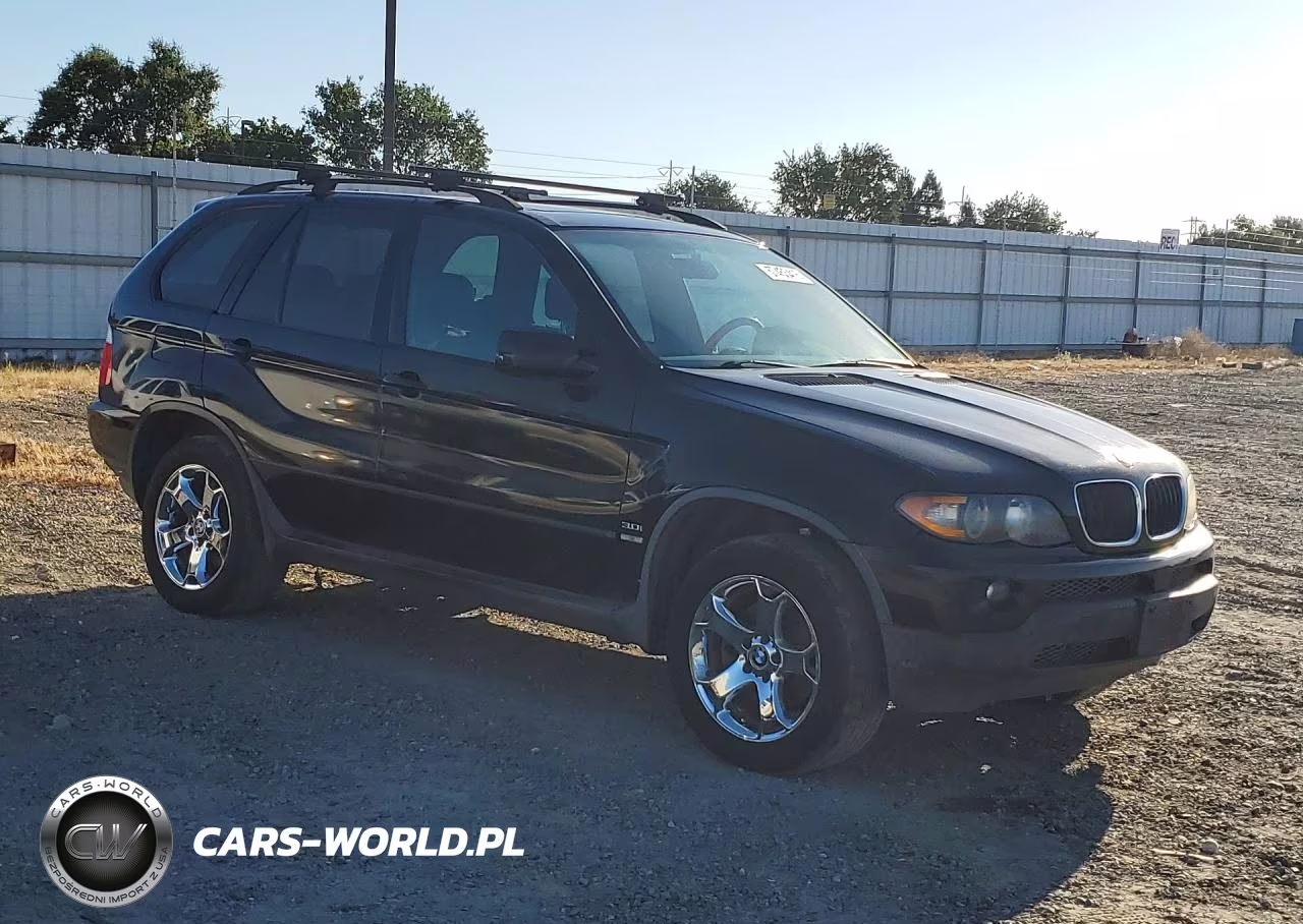 2006 BMW X5 3.0I VIN:5UXFA13526LY36113 - 4