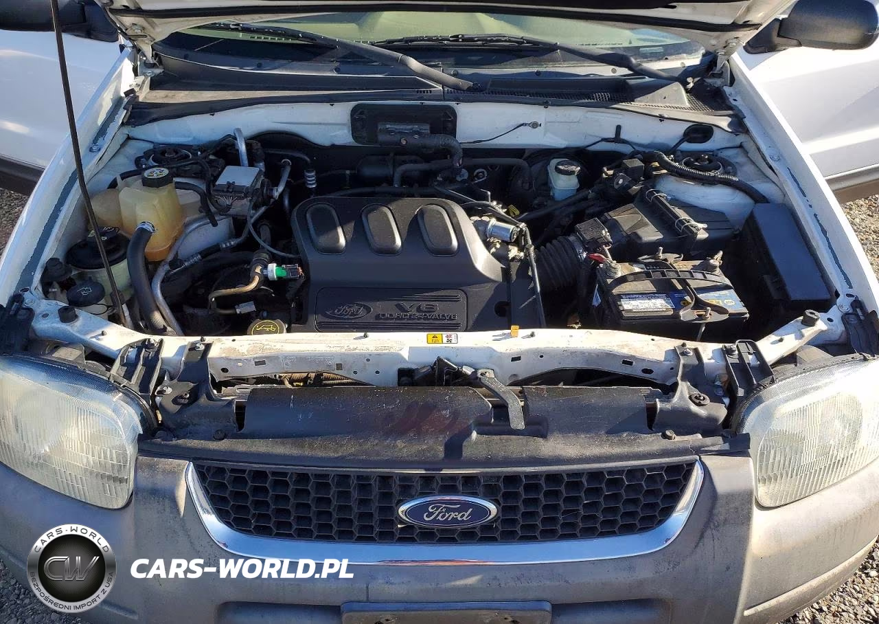 2003 Ford Escape Xlt VIN:1FMYU93103KE07031 - 12