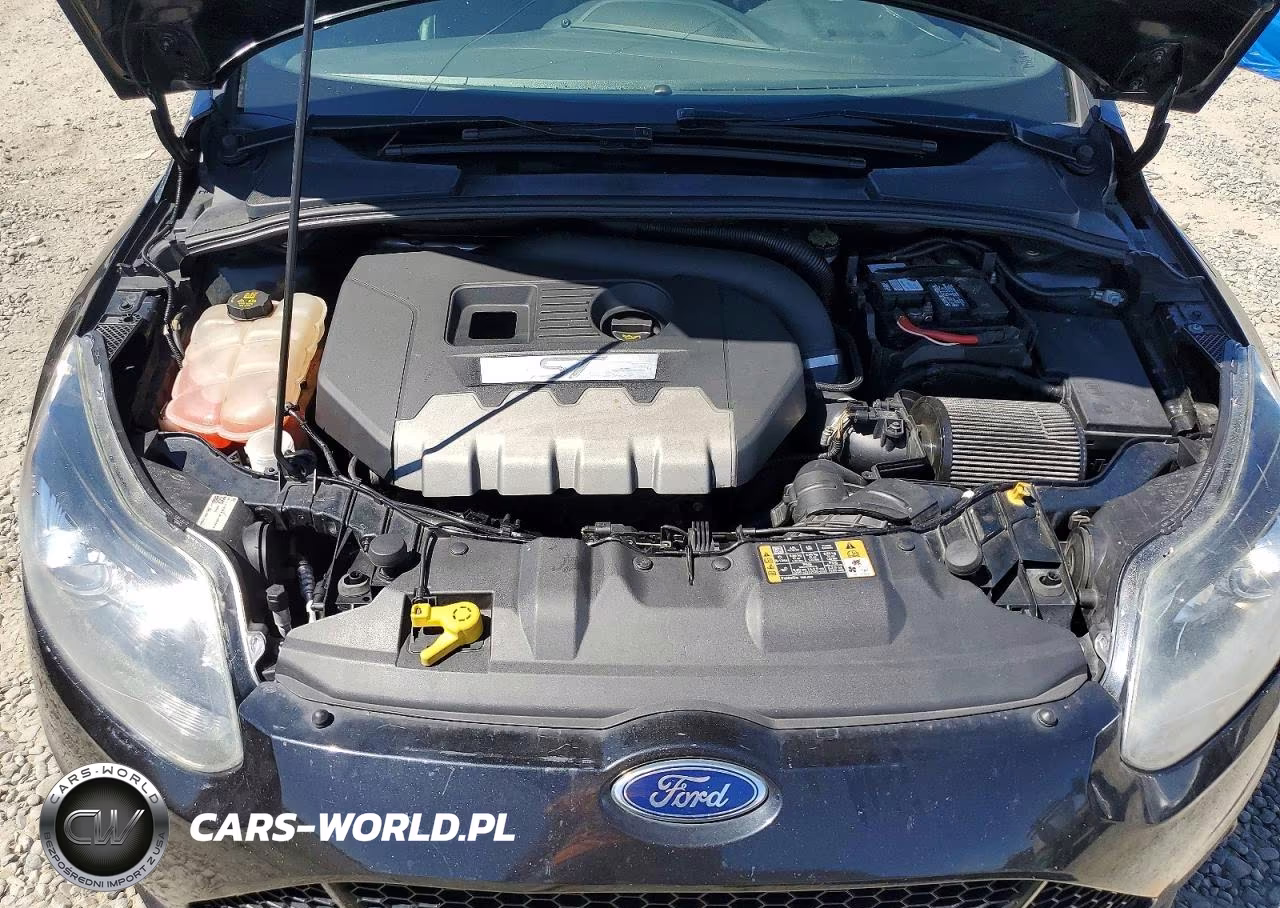 2014 Ford Focus St VIN:1FADP3L94EL402625 - 11