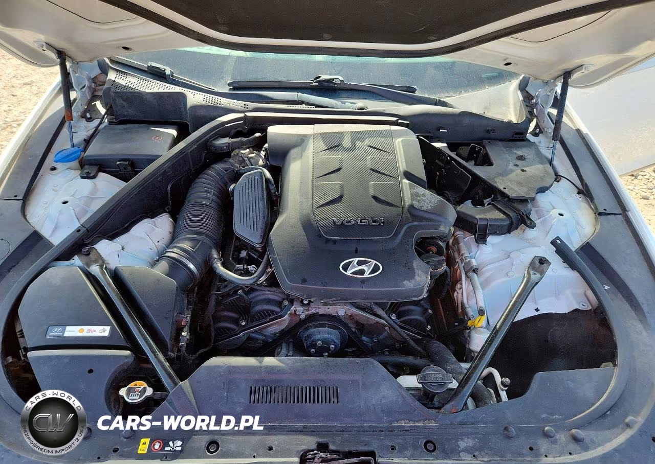 2015 Hyundai Genesis 3.8L VIN:KMHGN4JE6FU021062 - 11