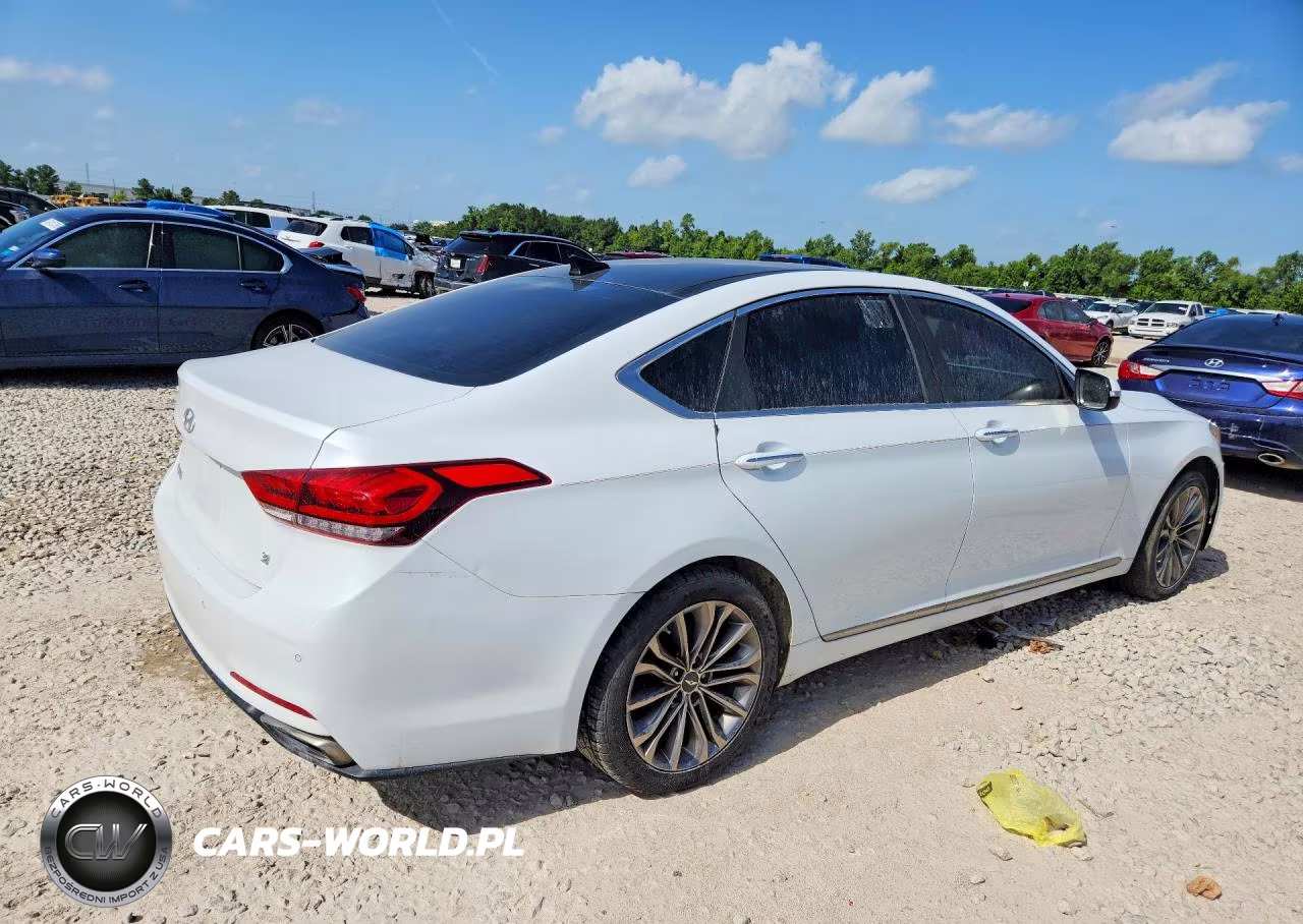 2015 Hyundai Genesis 3.8L VIN:KMHGN4JE6FU021062 - 3