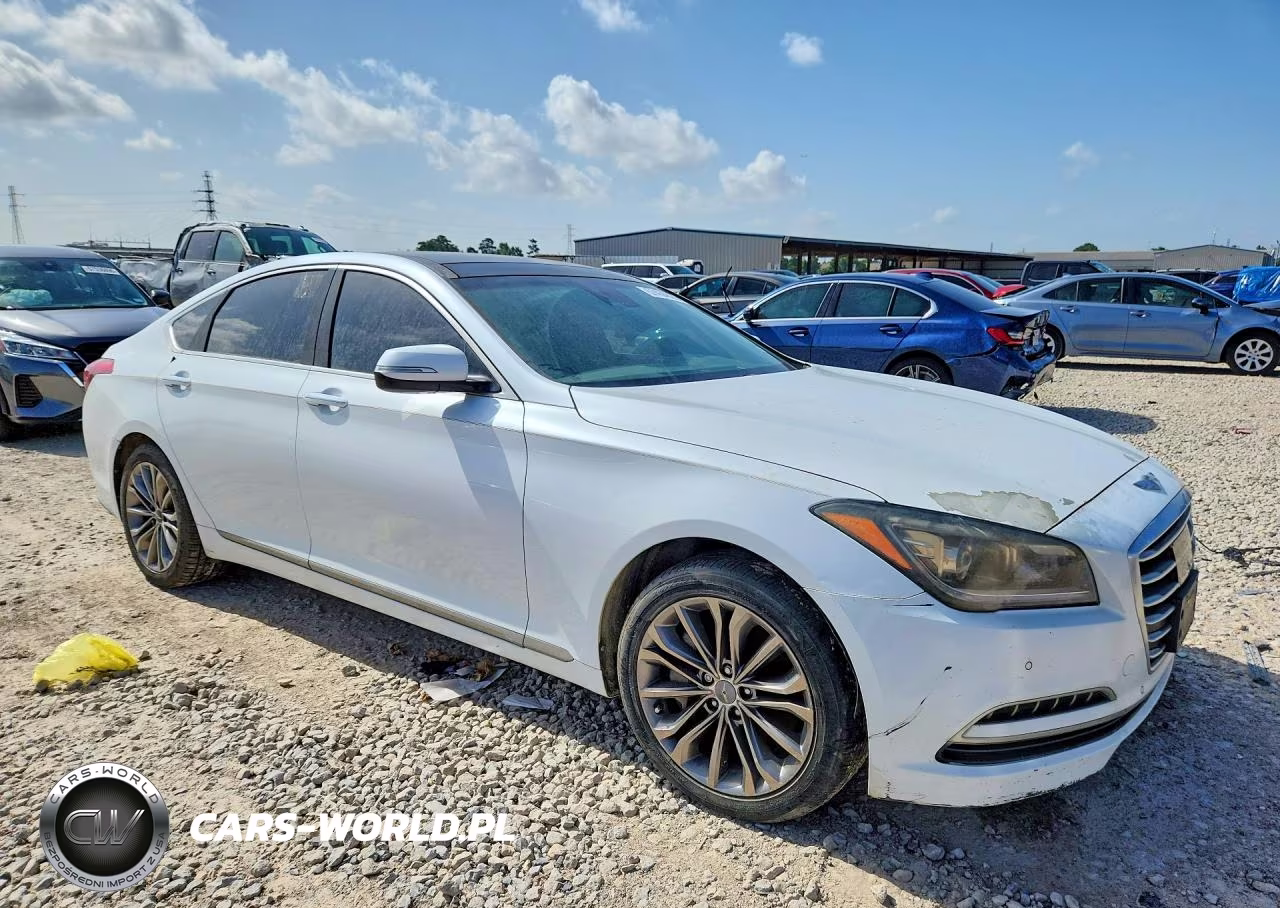 2015 Hyundai Genesis 3.8L VIN:KMHGN4JE6FU021062 - 4