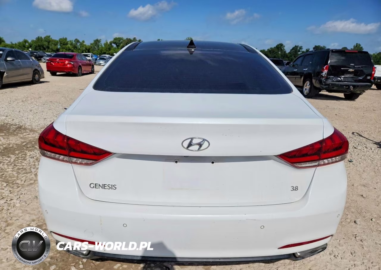 2015 Hyundai Genesis 3.8L VIN:KMHGN4JE6FU021062 - 6