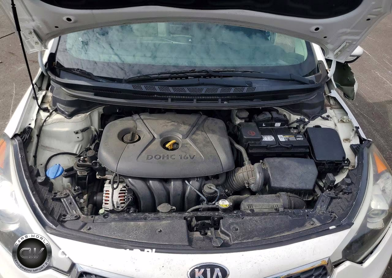 2015 Kia Forte Lx VIN:KNAFX4A64F5261558 - 11