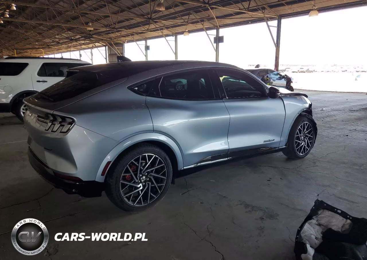 2022 Ford Mustang Mach-E Gt VIN:3FMTK4SXXNMA41289 - 3
