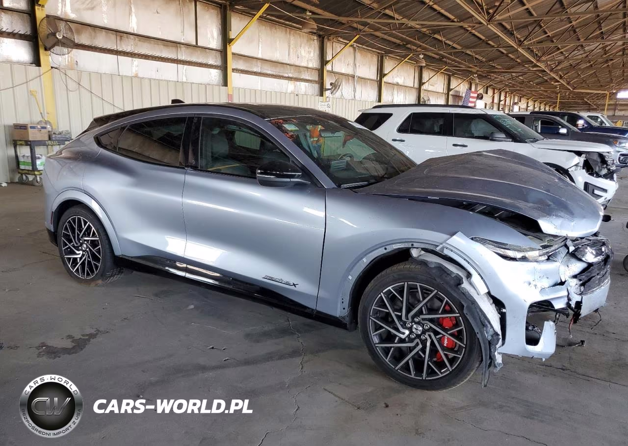 2022 Ford Mustang Mach-E Gt VIN:3FMTK4SXXNMA41289 - 4
