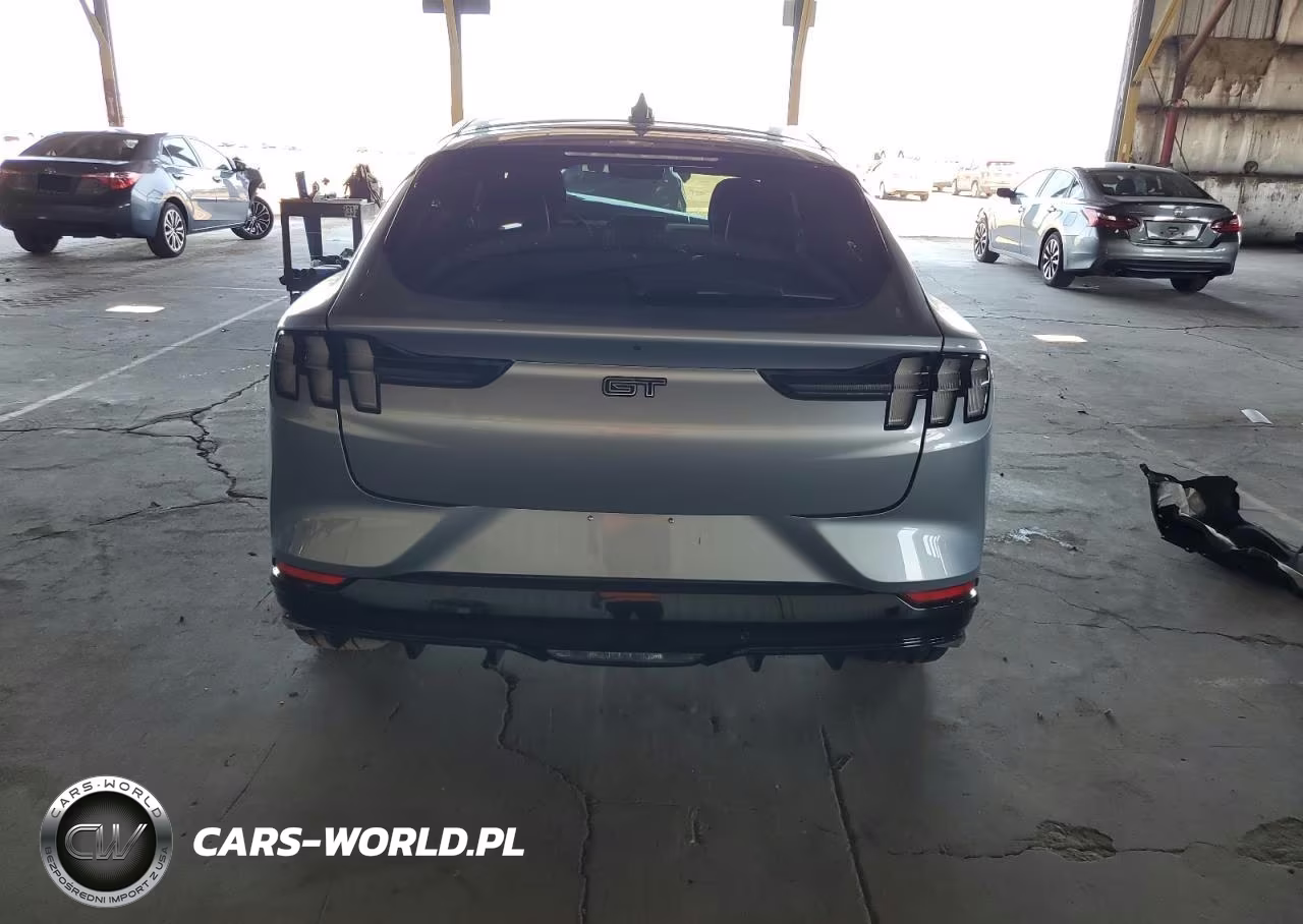 2022 Ford Mustang Mach-E Gt VIN:3FMTK4SXXNMA41289 - 6